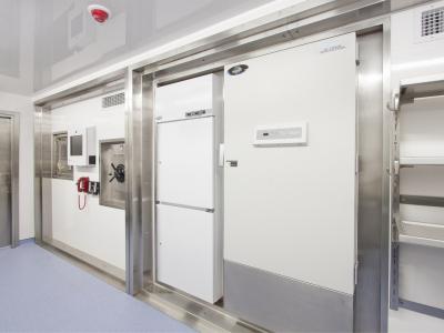 寵物食品無塵車間建設設計：裝修標準、車間布局、系統工程